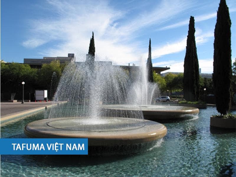 Tầm nhìn Tafuma Việt Nam