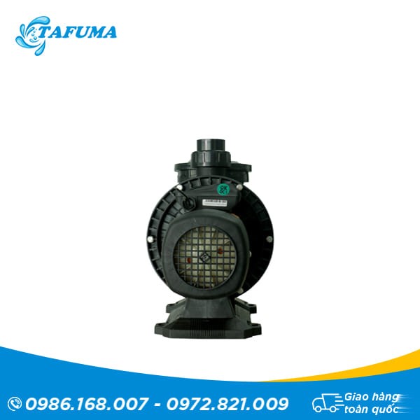 máy bơm bể bơi tafuma TFS 1