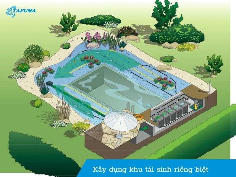 Các phương pháp xây dựng thi công bể bơi sinh thái 2