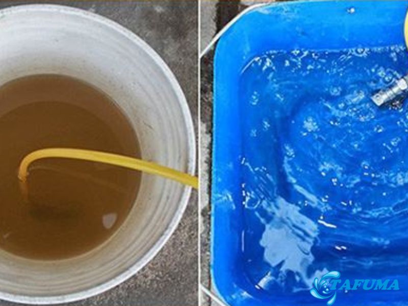 Trước và sau khi dùng phèn chua làm trong nước
