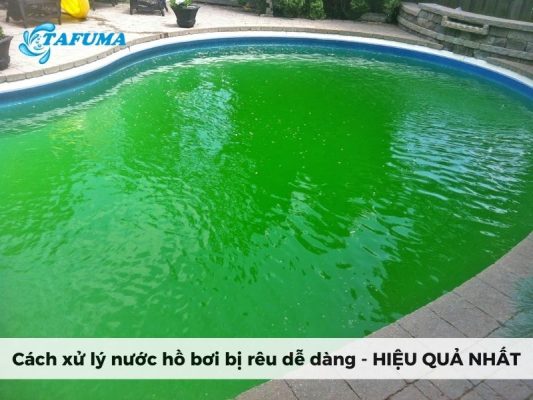 Cách xử lý nước hồ bơi bị rêu