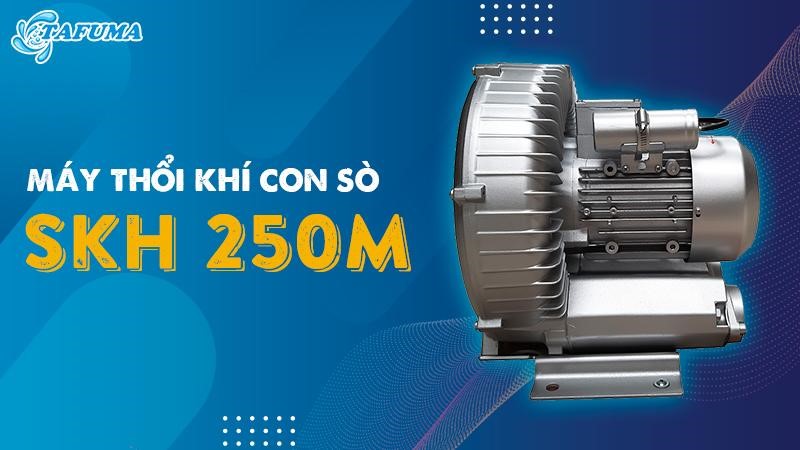 Giới thiệu về máy thổi khí con sò Kripsol SKH 250M