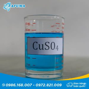 Đồng nước CuSO4
