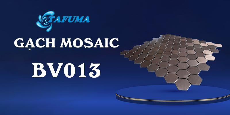 Giới thiệu về gạch mosaic BV013