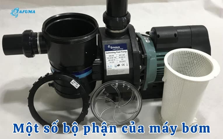 Cấu tạo của máy bơm bể bơi