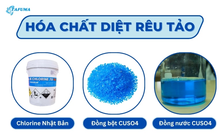 Hóa chất diệt rêu tảo