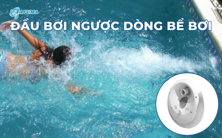 Đầu bơi ngược dòng bể bơi