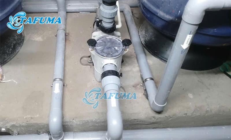 Máy bơm KNG được Tafuma lắp đặt cho khách hàng