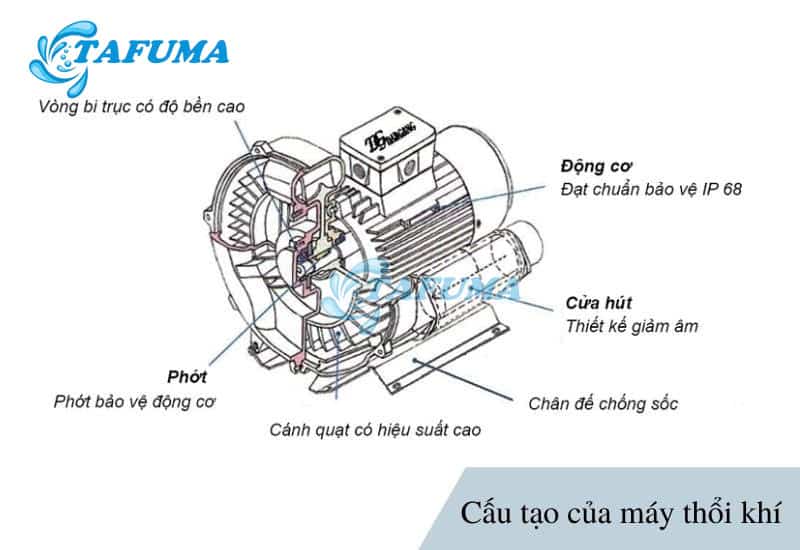 Cấu tạo của máy thổi khí bể bơi
