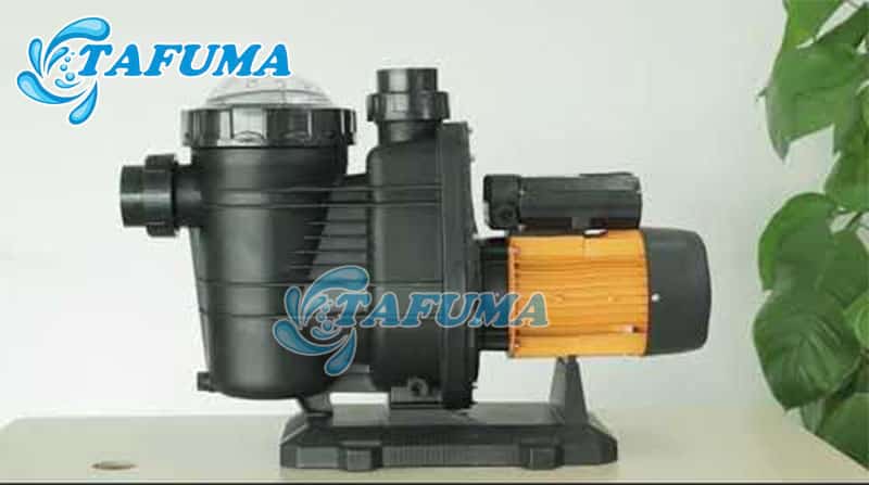 Máy bơm bể bơi Tafuma được nhiều người yêu thích hiện nay