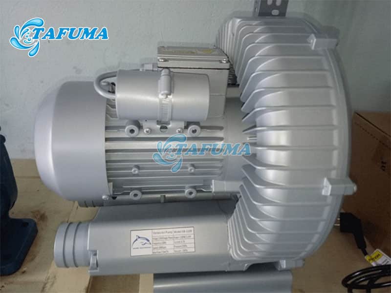 Máy thổi khí hồ bơi