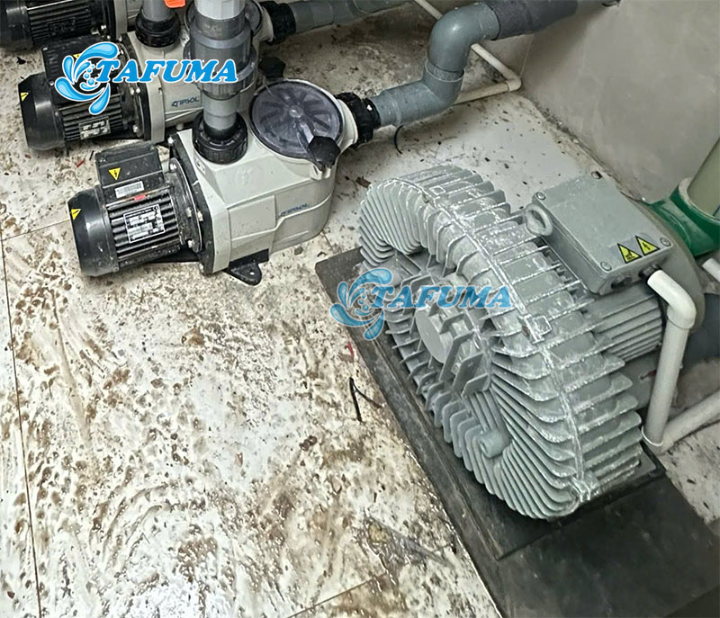 Máy thổi khí Tafuma được lắp đặt cho khách hàng
