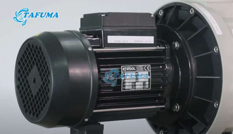 Động cơ của model Kripsol vận hành rất êm ái
