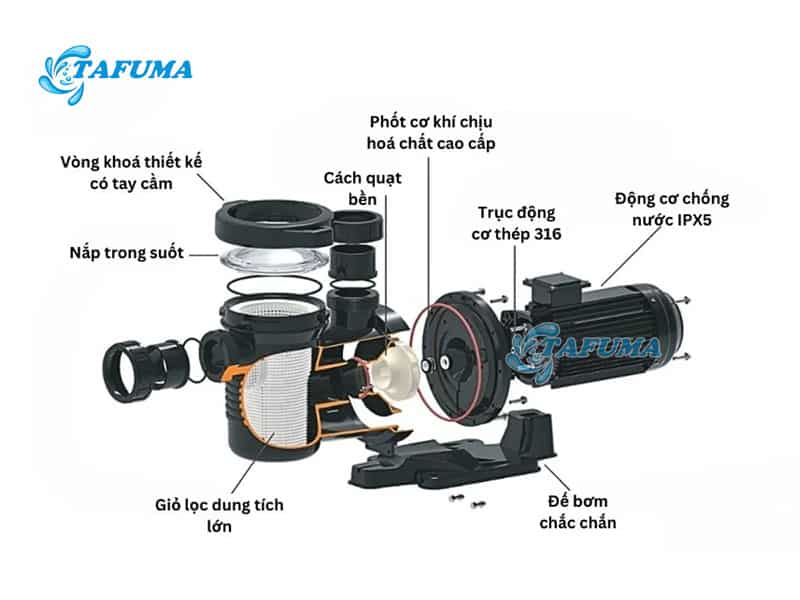 Cấu tạo của máy bơm hồ bơi