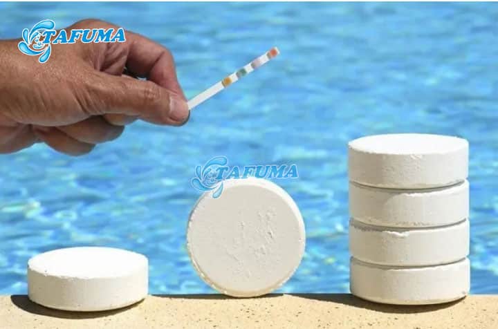 Clo viên xử lý nước bể bơi