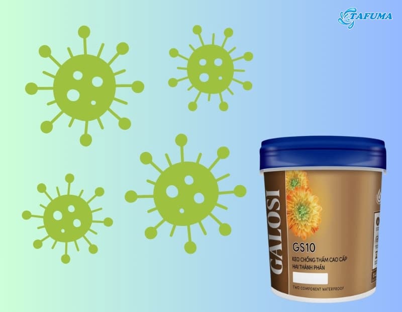 GALOSI GS10 an toàn, bền bỉ