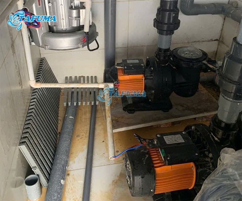 Máy bơm bể bơi Tafuma chính hãng