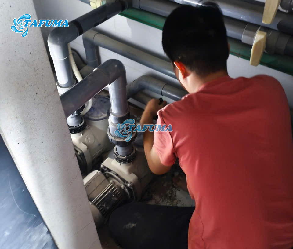 Máy bơm hồ bơi hỏng hóc do lắp đặt không đúng kỹ thuật