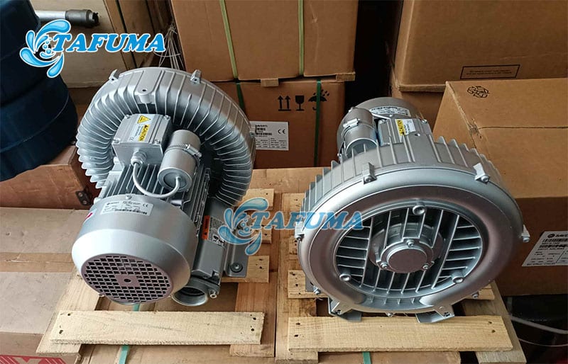 Máy thổi khí bể bơi được sử dụng nhiều trong các công trình bể bơi