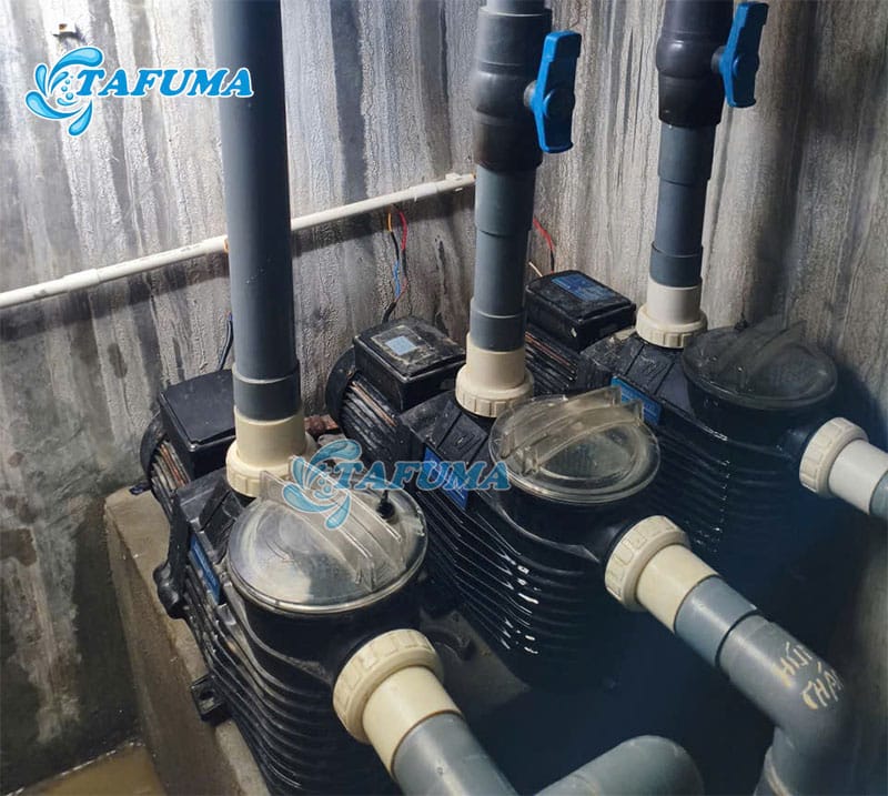 Máy bơm hồ bơi giúp hệ thống lọc hoạt động hiệu quả