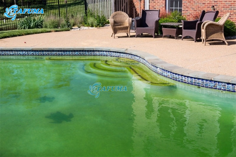 Mực nước bể bơi ảnh hưởng đến hiệu quả của việc vệ sinh