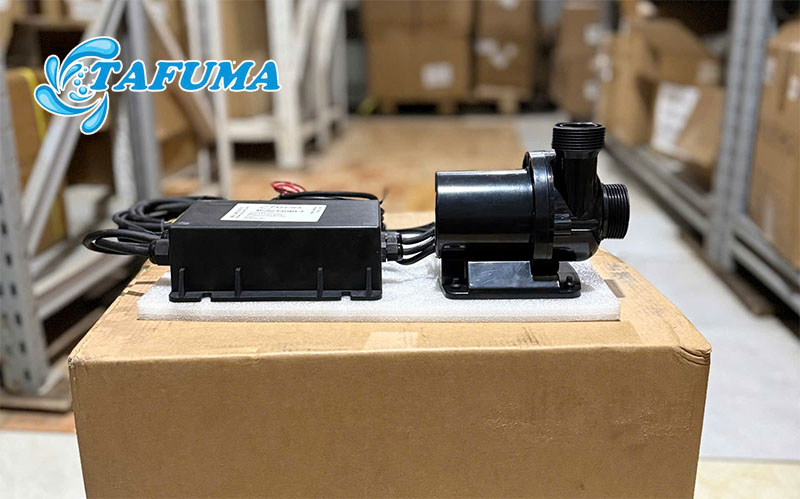 Bơm đài phun Tafuma P5DMX-X được ứng dụng thực tế đa dạng